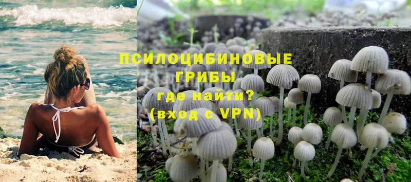 Псилоцибиновые грибы MAGIC MUSHROOMS  mega сайт  Енисейск 